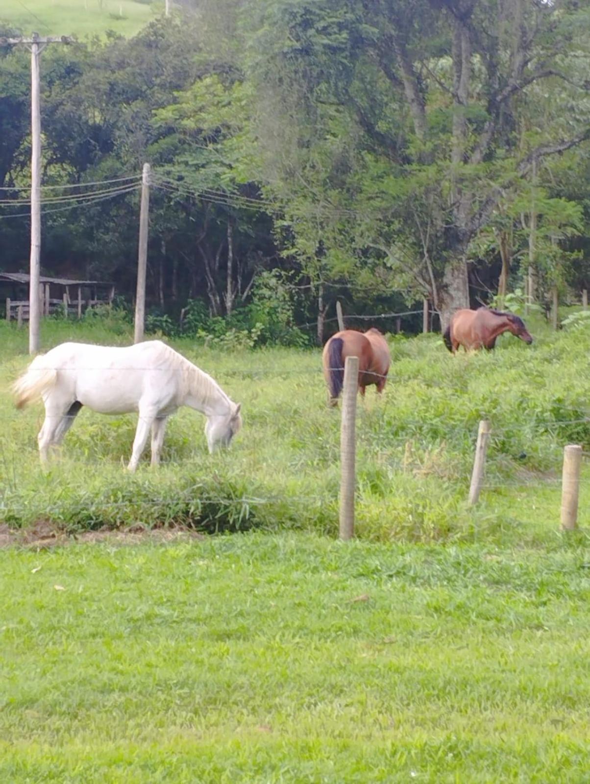 Encanto Da Pedra * Visconde De Maua